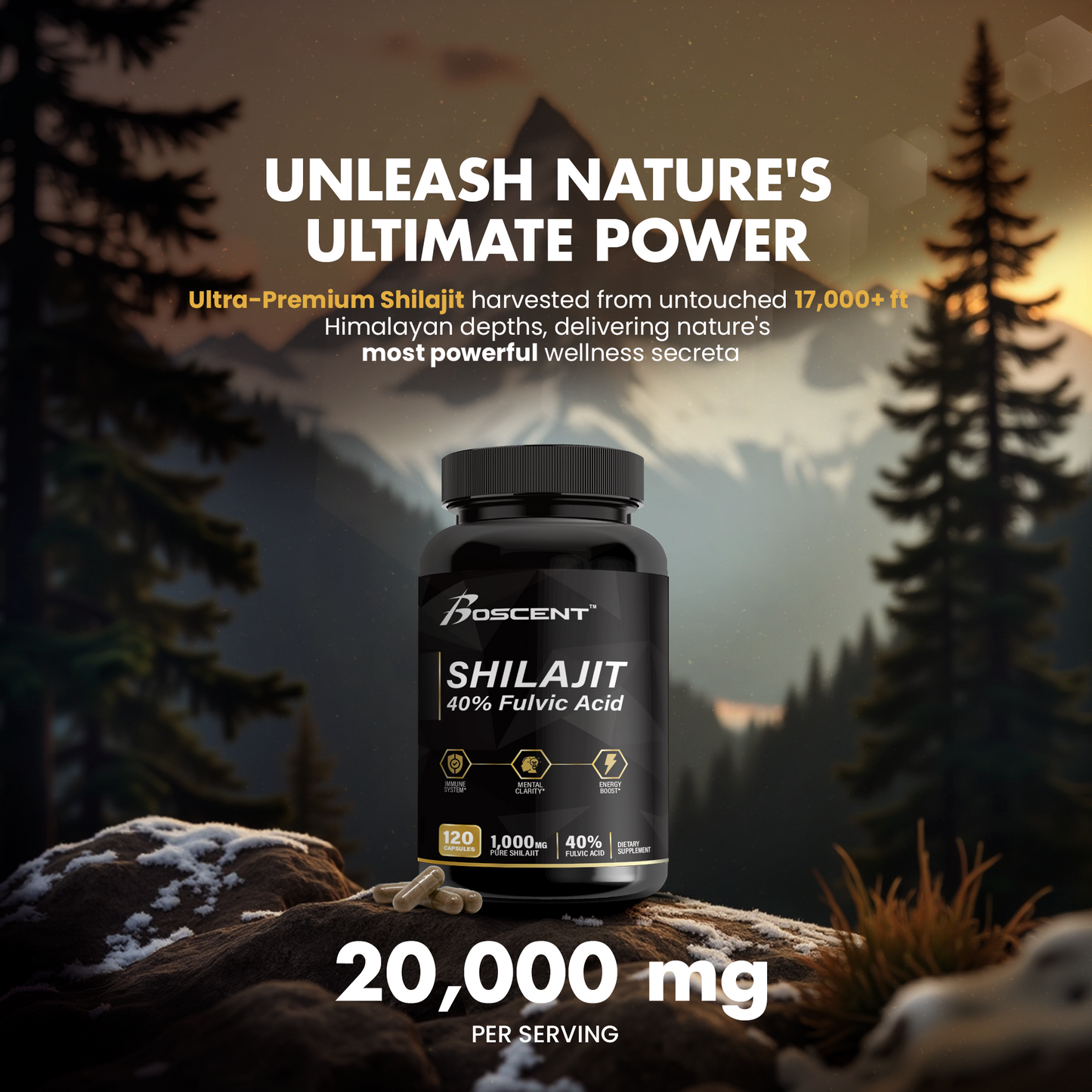 Shilajit 1000 MG