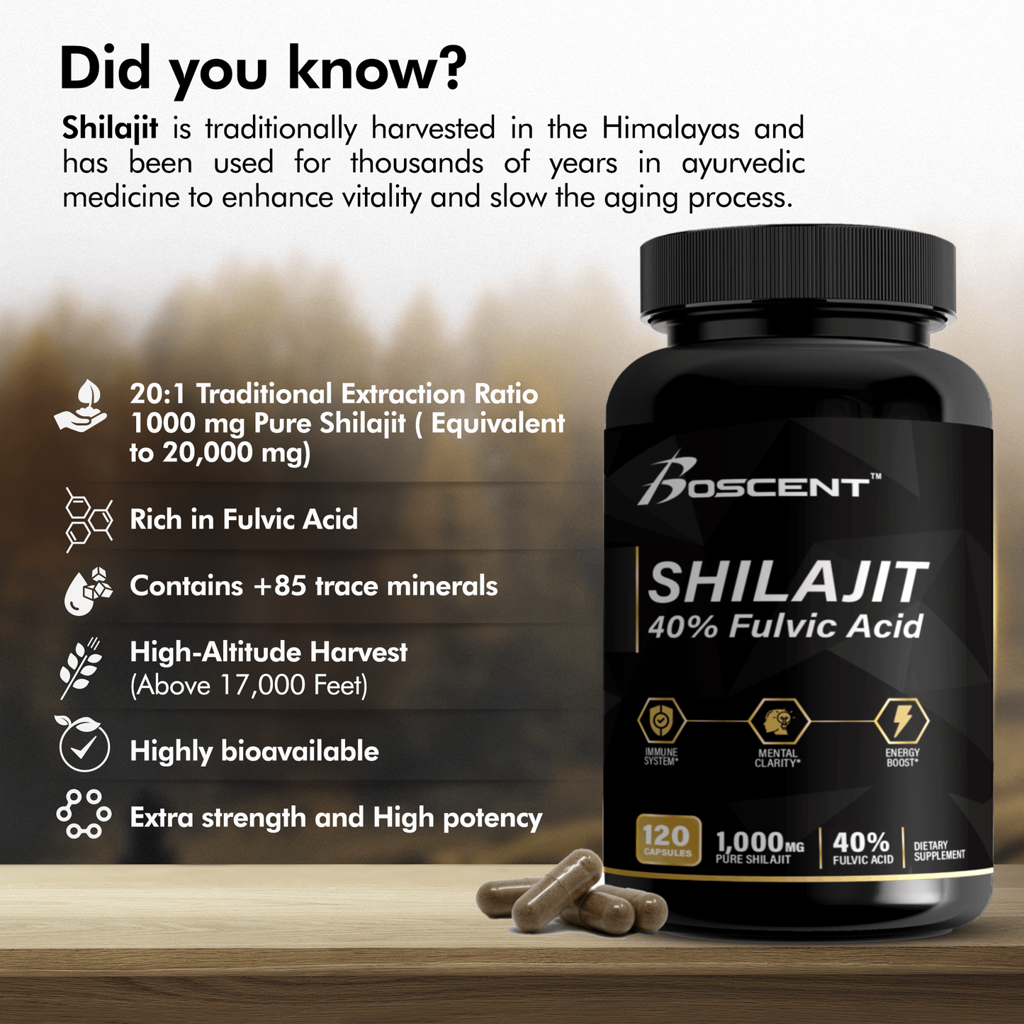 Shilajit 1000 MG