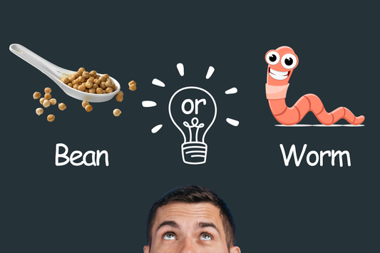 Bean vs. Worm, which one is better