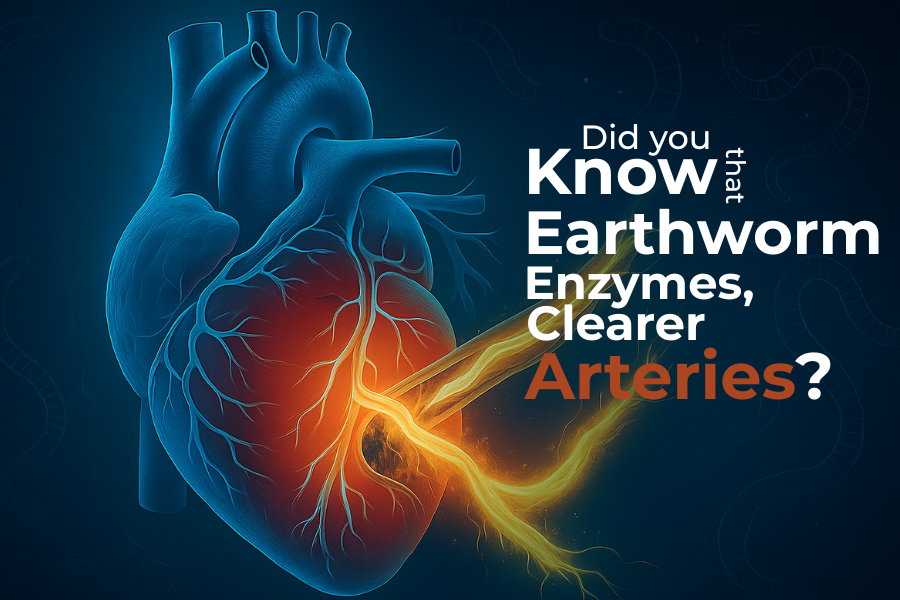 Earthworm Clearer Arteries