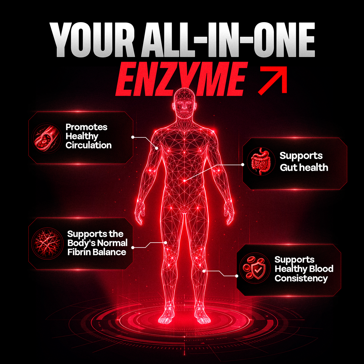 Lumbrokinase Enzymes