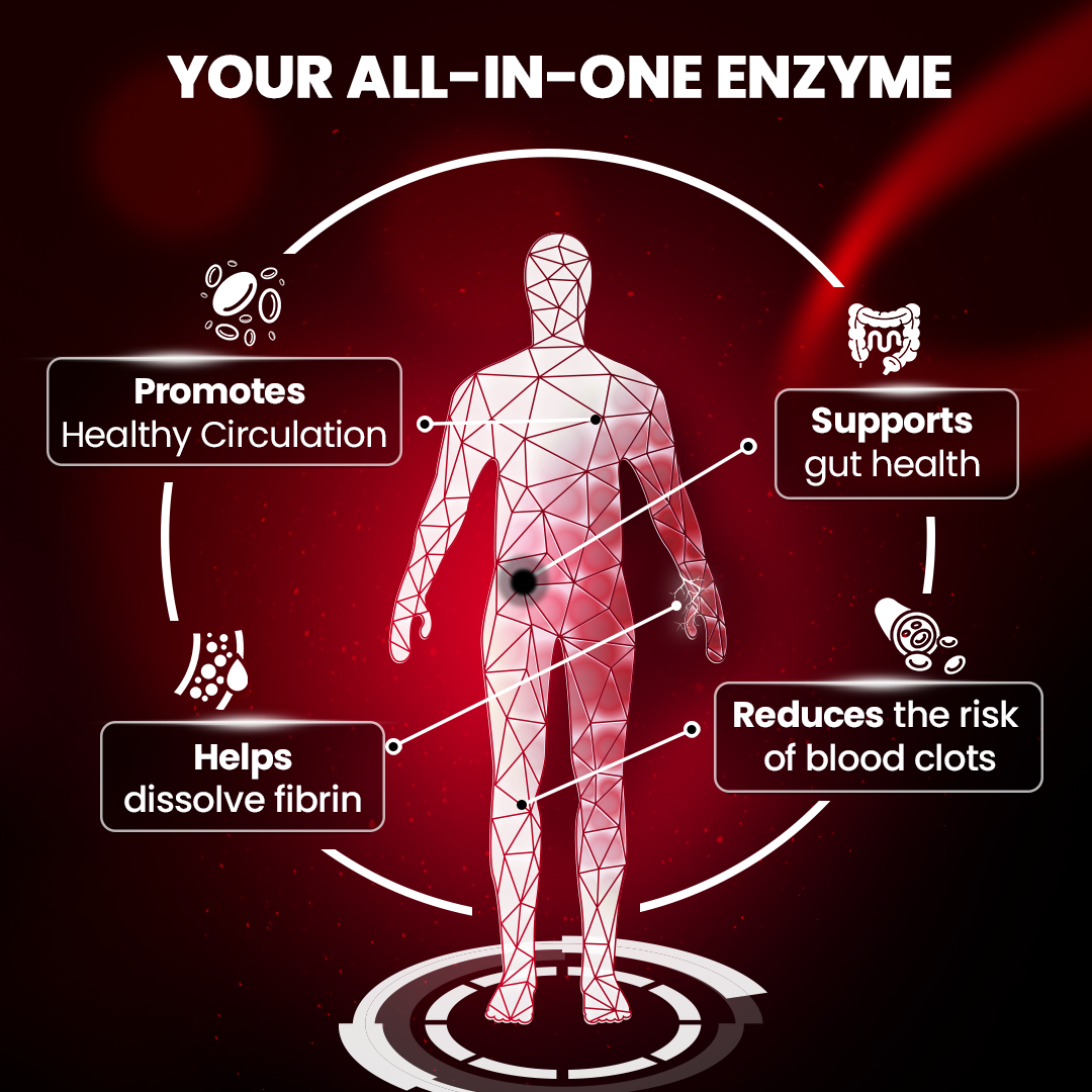 Lumbrokinase Enzymes