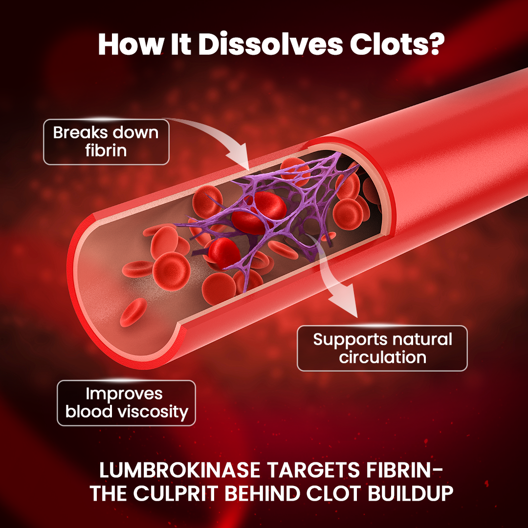 Lumbrokinase Enzymes