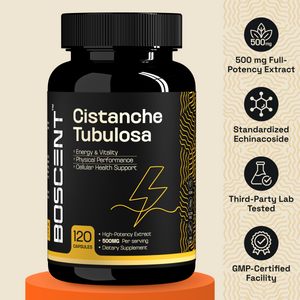 Cistanche Tubulosa