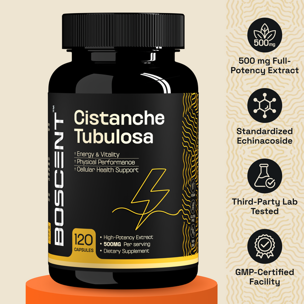 Cistanche Tubulosa