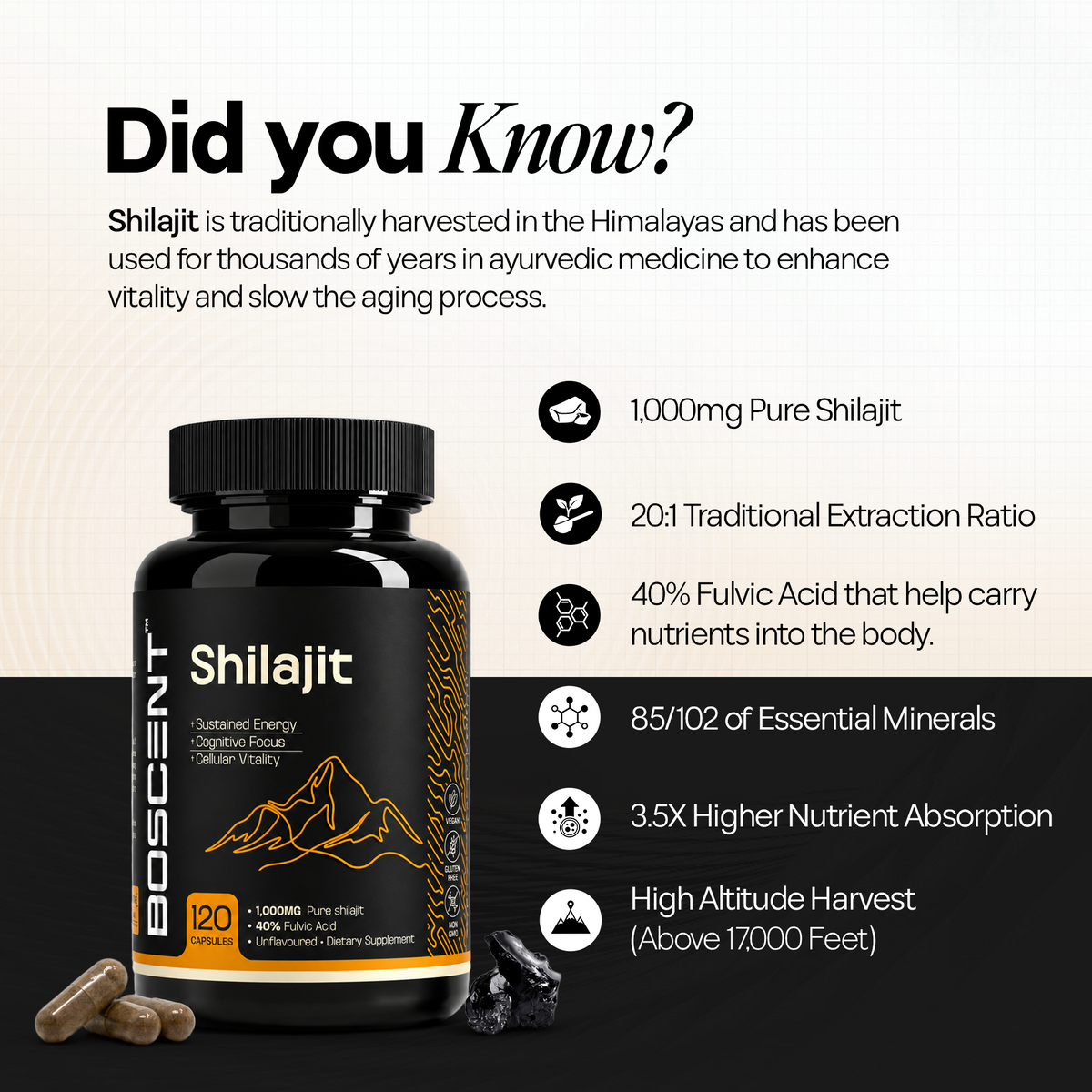 Shilajit