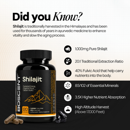 Shilajit