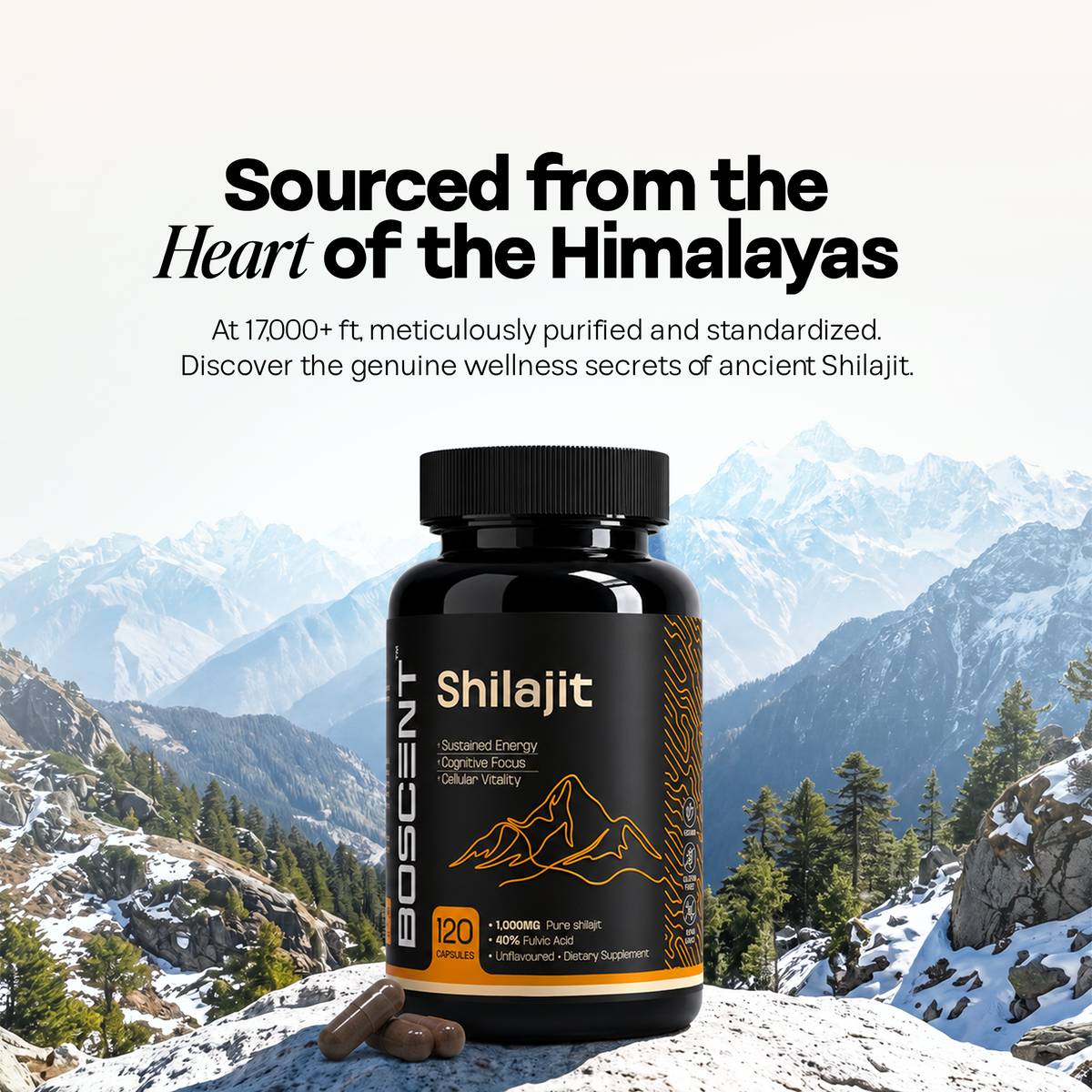 Shilajit
